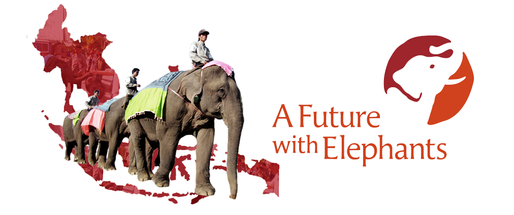 A Future with Elephants